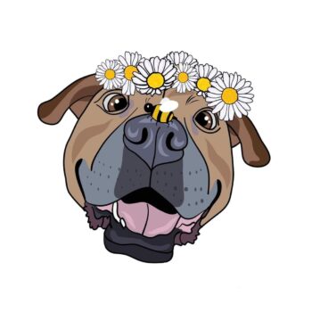 Beauties & Beasts illustrated image of a dog with flowers on it's head and a bee on it's nose